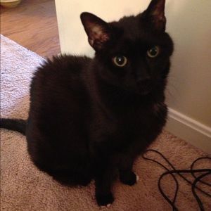 Meet your Posher, Melissa